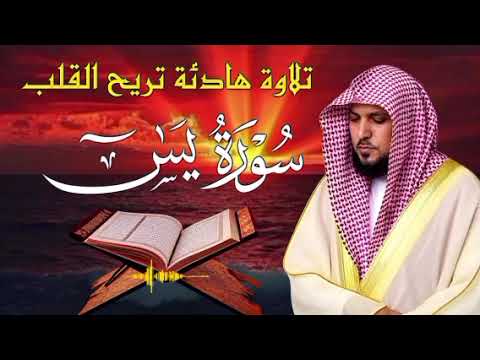 Maher Al Muaiqly Recitation | Surah Yasin | سورة يس | Peaceful Quran