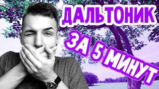 КАК СТАТЬ ДАЛЬТОНИКОМ ЗА 5 МИНУТ / КАК ВИДЯТ ДАЛЬТОНИКИ