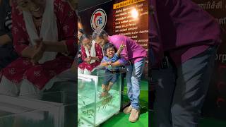 NR Fish Spa🥰 Besant Nagar beach +919952085544 #youtubeshorts #spa #cute #fish #yt #youtube #chennai