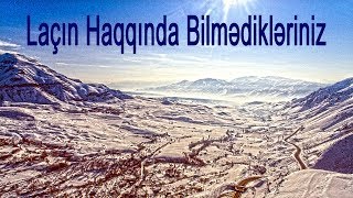 Laçın Haqqında Bilmədikləriniz