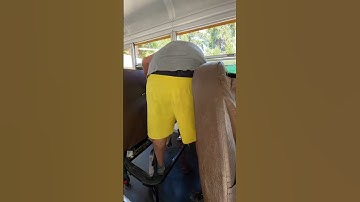 How To Remove Seats From Your School Bus Conversion #skoolie  #schoolbusconversion #diy #buslife