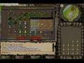 Runescape 99 herblore