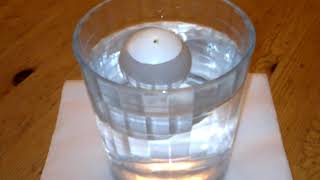 Water Egg Candling, Hatching Eggs, Float Test Net Worth