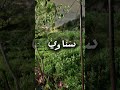 #اكسبلور