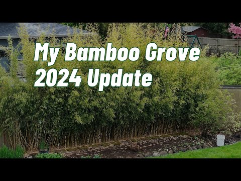 BAMBOO 2024.6〜2025.1 BAMBOO 2024.6〜2025.1 Low Poly Bamboo Construction 3D Model