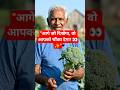 🥦 Giant Fresh Broccoli Harvest 😍 | Amazing Farming Life 🚜🌱 #Shorts