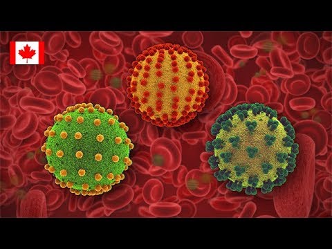 Bloodborne Pathogens for Canada