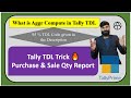 Tally TDL Tutorial – Stock Item Report with Purchase &amp; Sale Qty | Learn TDL in Hindi