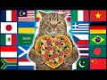 Cat in 70 languages meme