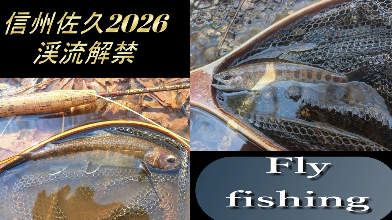 信州佐久渓流解禁! フライフィッシング