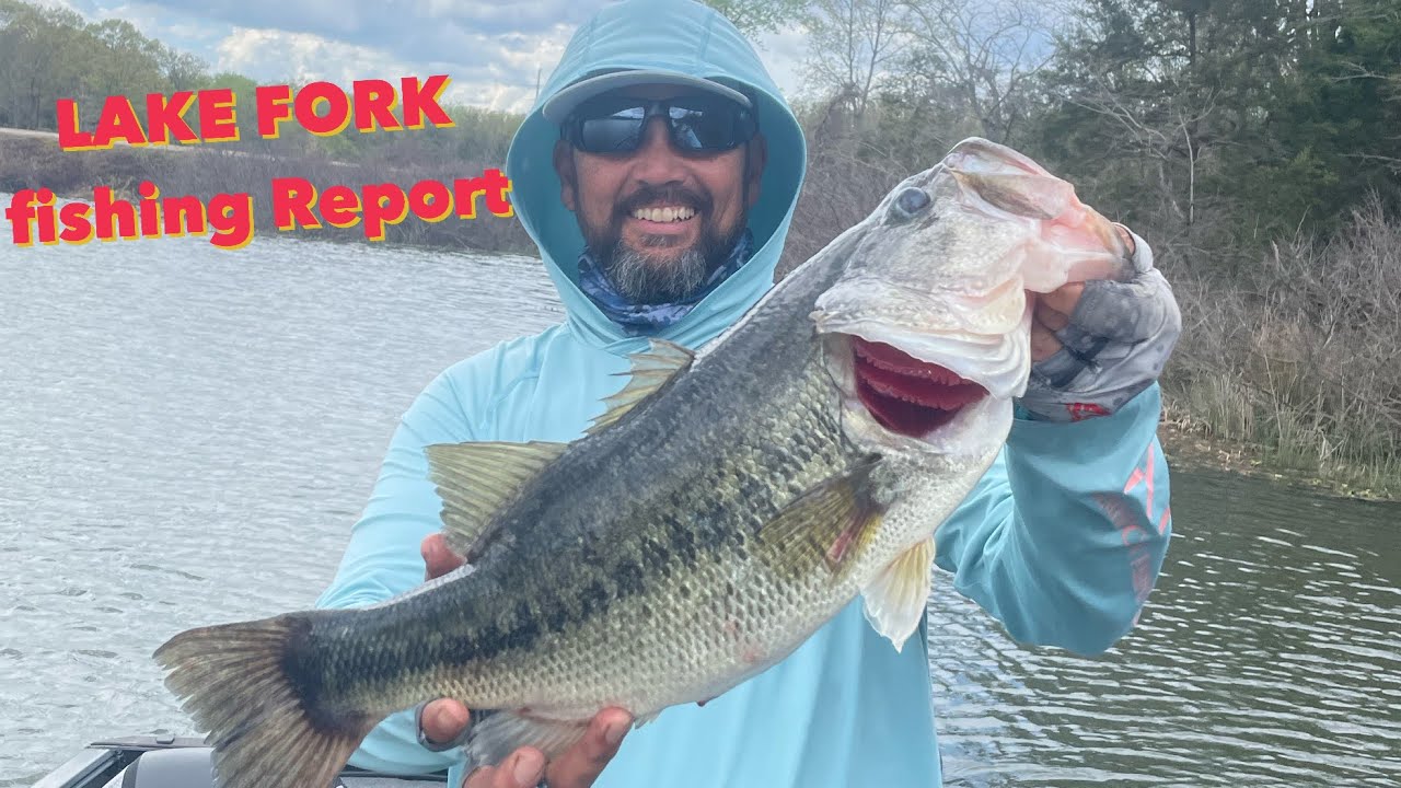 Lake FORK Fishing Report | 2025 Last Week of March #bassfishing #lakefork