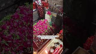 Mira datar dargah Urs stetus|whatsapp qawwali status|2025new qawwali|Famous qawwali|mira data