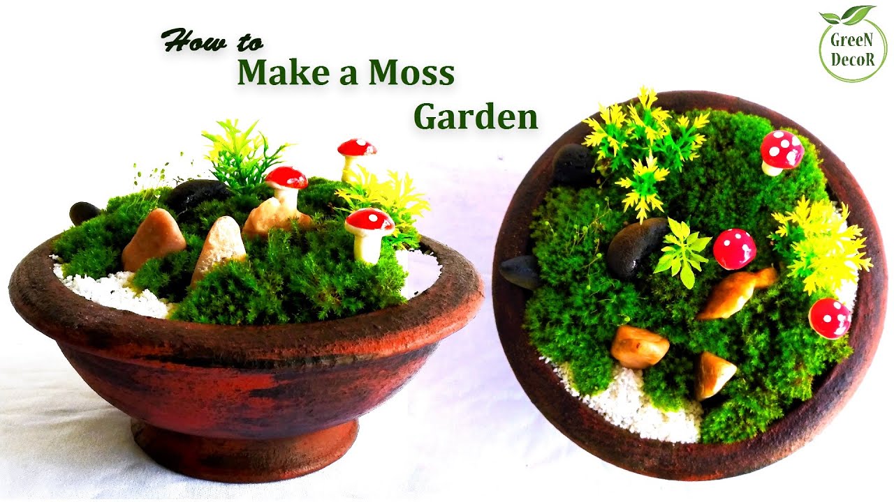 How to Create a Moss Garden for Beautiful Greenery - Dengarden