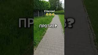 Работайте😂😂😂 #юмор #позитив #смешно #прикол #ржака #смех #угар #ржач #мем #рек