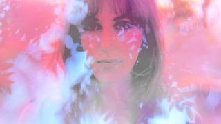 Video thumbnail of "Noosa - Forest Lane (Wonderland LP)"