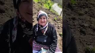 Kaynanacığım Bugün Tarlayı Getirdim