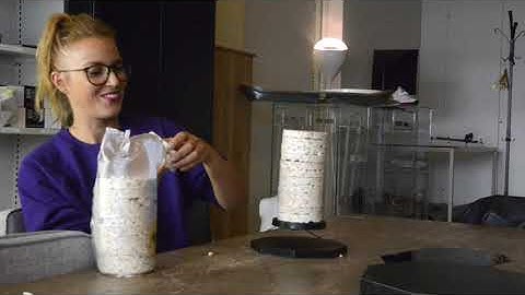 The power of the flux 45 magnetic levitation module