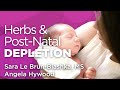 Post-Natal Depletion | WholisticMatters Podcast | Special Series: Medicinal Herbs