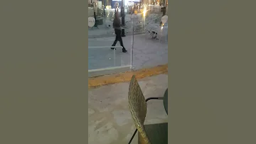 בוקר טוב יא בני זונות 