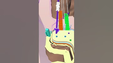 Bridge Race All Levels Gameplay Android,ios Levels 772 #Shorts