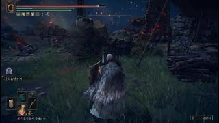 [PS5] 엘든링 암월의 검(월광), 사명의 칼날, 모르고트의 저주검 성능 테스트 screenshot 2