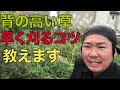 【背の高い草】刈るときのコツを教えます