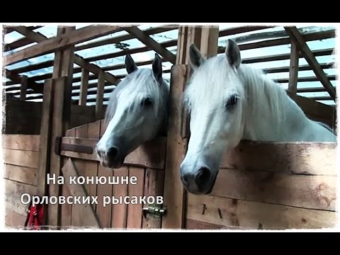 Vídeo: Què Passarà Al Parc Sokolniki