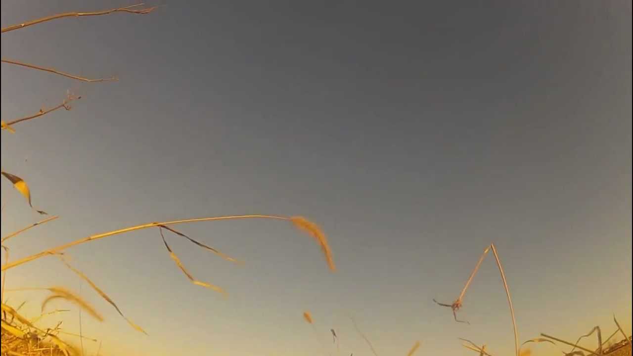 GOPRO GUN CAM 11313_5.mp4