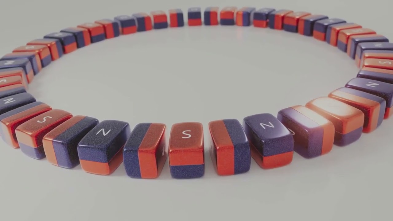 How Animals Sense Magnetic and Electric Fields