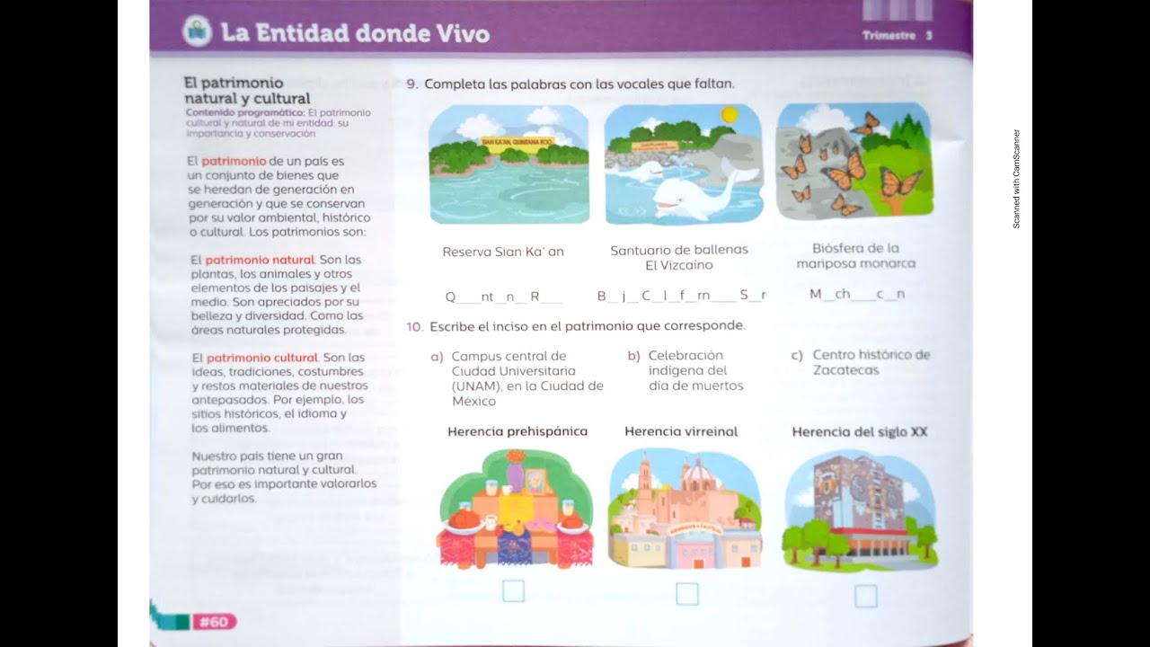 ponte en forma Santillana cuarto grado Mi entidad - YouTube