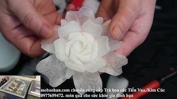 cách tỉa hoa hồng củ cải siêu dễ ai cũng có thể làm được @mebaohan.official