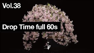 Azuma Makoto Drop Time Vol.38_Full_60S_Loop