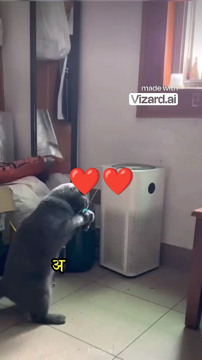 #SanjayDuttt #sunjaydutt #Arshad #ArshadWarsi #ARSI #superhit2023 #super#funnyanimalvideos