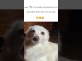 Dua #memes #popular #viral #funnymemes #tweetreels #ameer #gareeb #dua