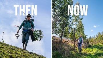 Ik heb vier jaar geleden een bos geplant