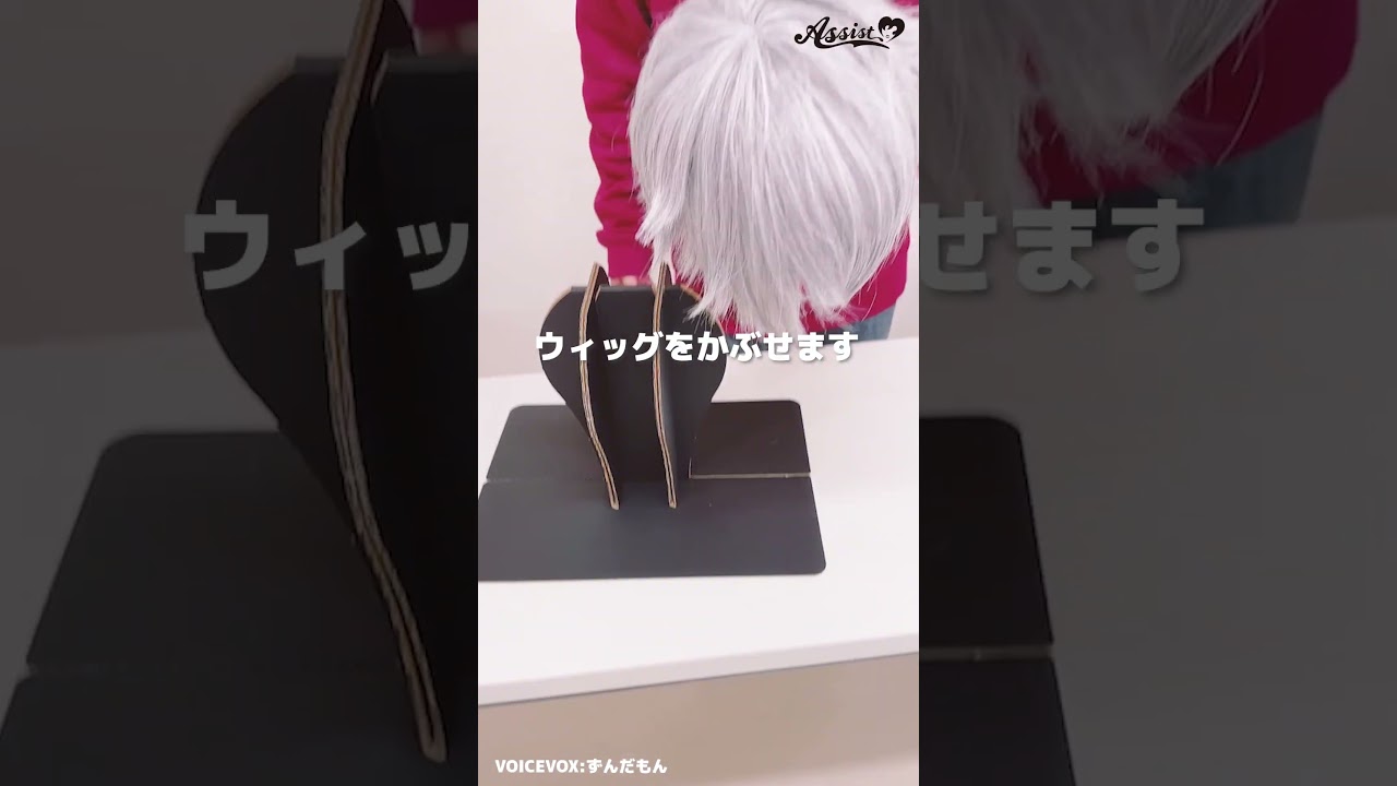 コスプレ用衣装・パーツ ウィッグ用収納ケース ― コスプレウィッグ総合