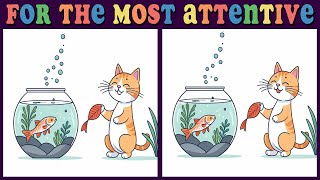 Spot the 3 differences 🧩 Test your attentiveness in a fun Cat Quest 🤔123