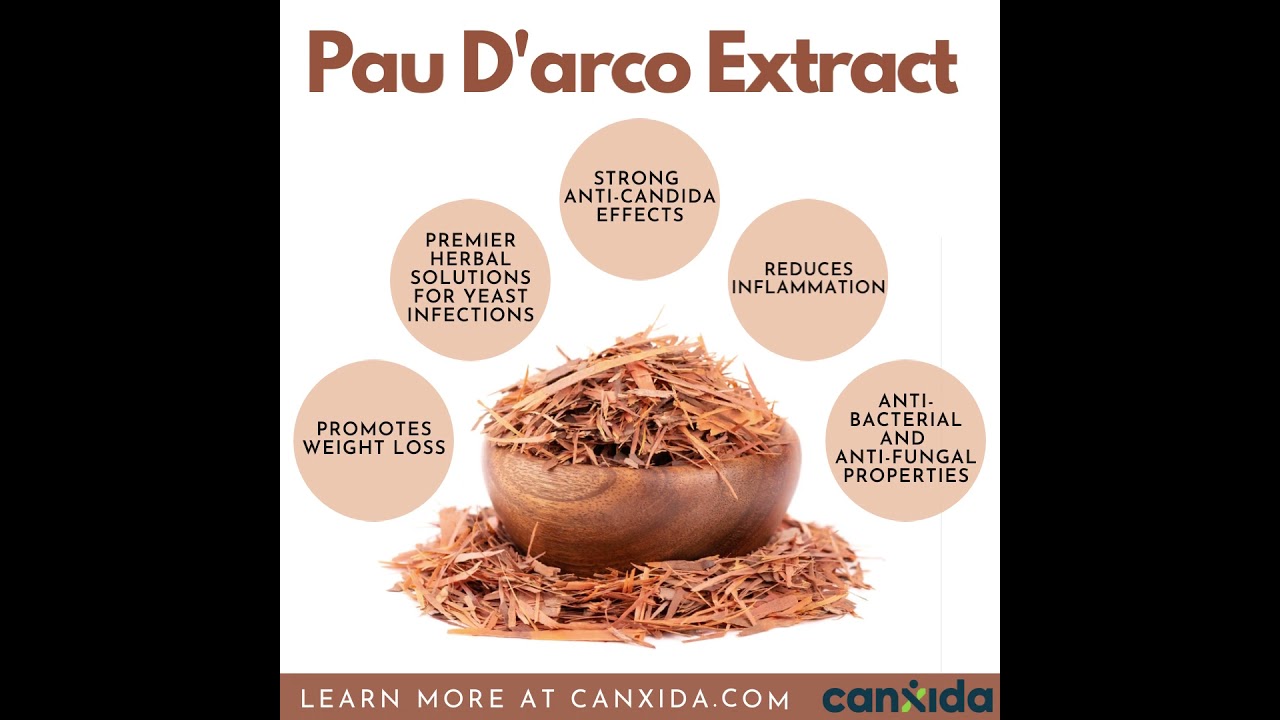 How Pau D'arco Helps Fight Candida and Inflammation 