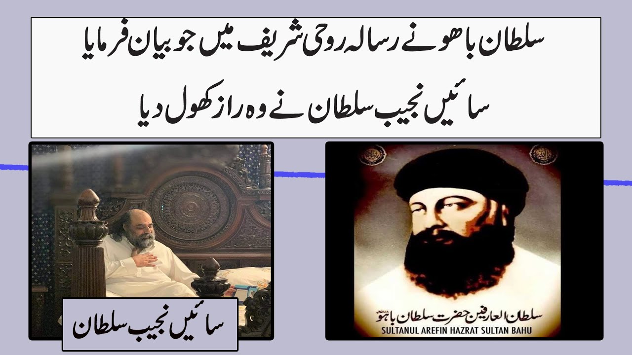 What Sultan Bahu Stated in the Magazine Rohi Sharif Sai Najib Sultan Revealed That Secret|HAQAIQTV |