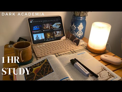 Benimle 1 saat ders çalış! Müziksiz, kronometreli, mum ışığı🕯 Felsefe📚Study with me 1 hr, no music