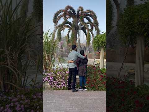 Miracle Garden Dubai | #couplevlog #trending #miraclegarden #flowers #fountain #newsong #viral