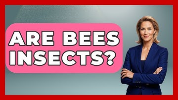 Are Bees Insects? - Exploring Campgrounds