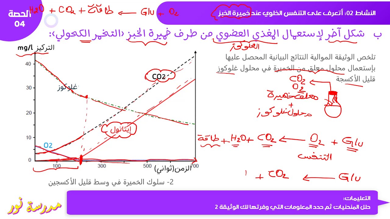 نمط إنتاج الطاقة عند فطر الخميرة في الوسط اللا هوائي / التخمر الكحولي علوم طبيعية سنة 04 متوسط