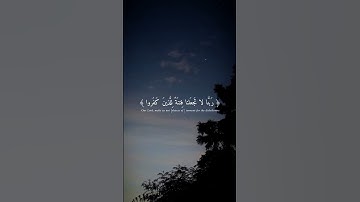 آيات عطرة من الذكر الحكيم