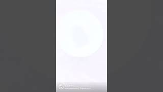 Seed Paper Planting Instructionshow To Sow Seed Paperplantable Paper Sowing Paper Instructions