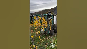 Double Sided Pre-Pruner With Automatic Opening System || Pruning Season 2025 in Germany || #pruning