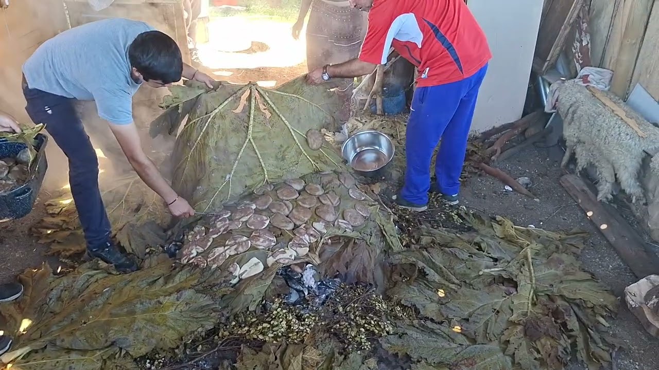 Curanto al Hoyo Isla Añihue