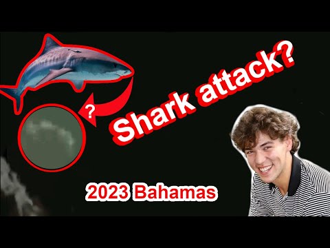 Shark Attack in the Bahamas?  Louisiana Teen Jumps Overboard on Dare, shark spotted?