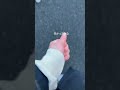 彼女と特殊な形でユニバデートしてきた。