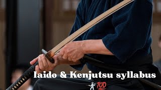 Iaido & Kenjutsu syllabus 🤺💯